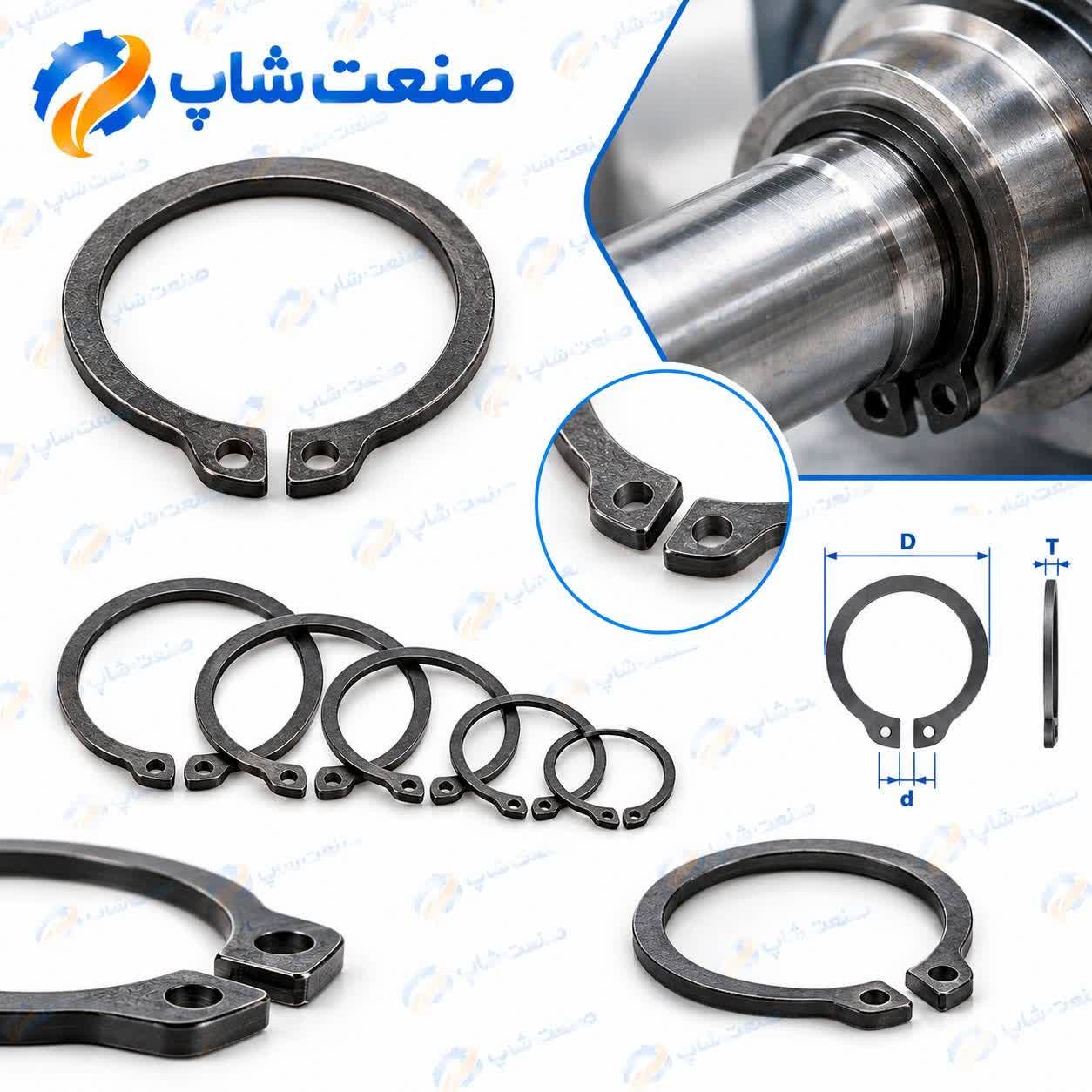 خار عینکی سر بیرون