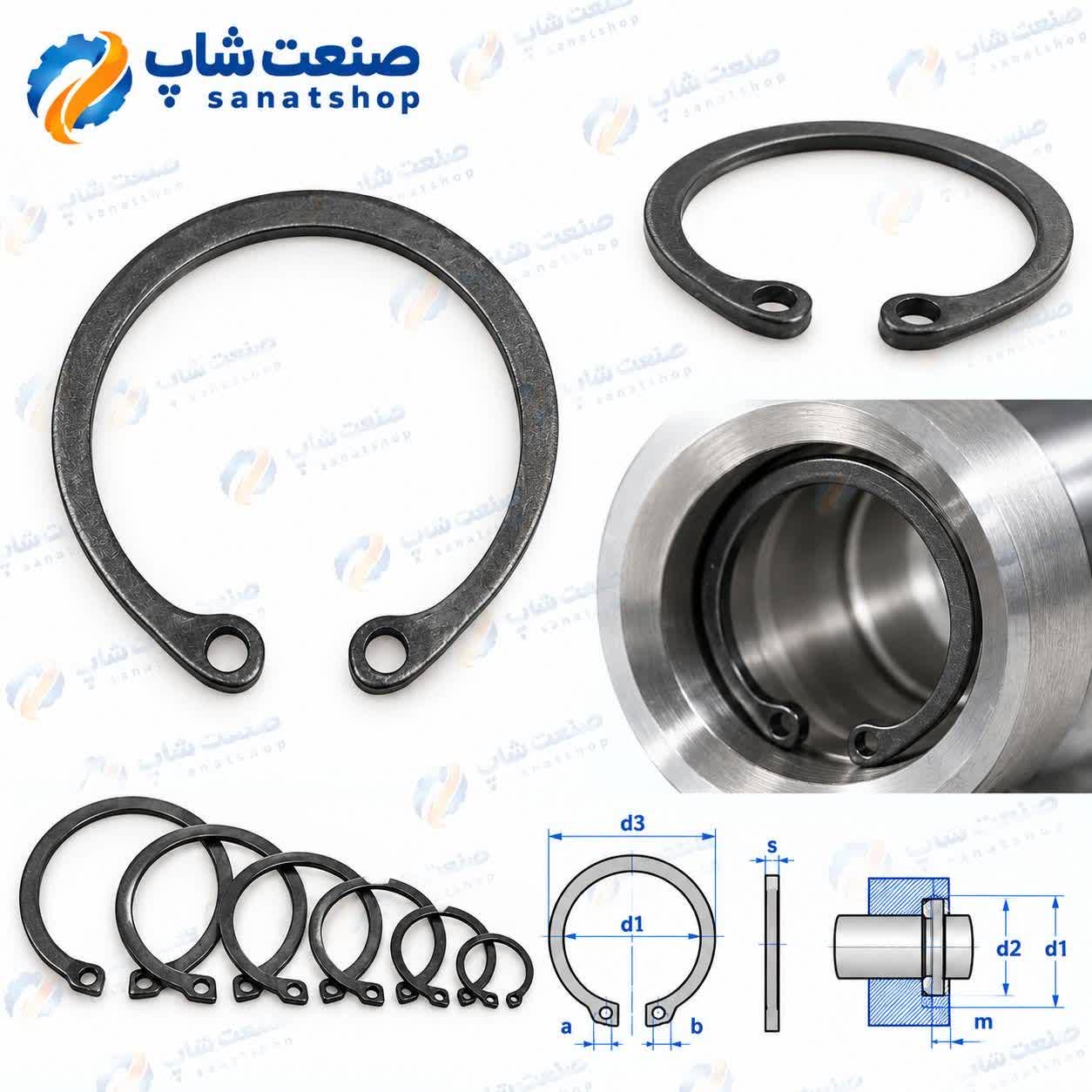 خار عینکی سر داخل